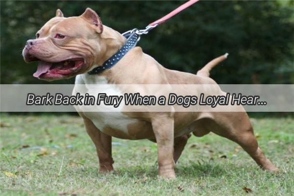 Bark Back in Fury When a Dogs Loyal Heart Meets disciplinary Measures